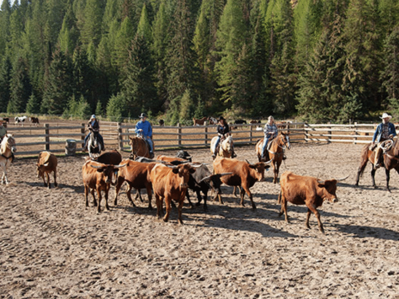 Bar W Guest Ranch – Whitefish, MT